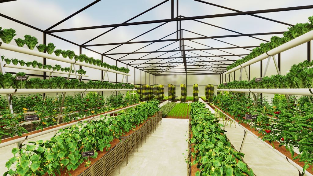 Hydroponic Farming Greenhouse
